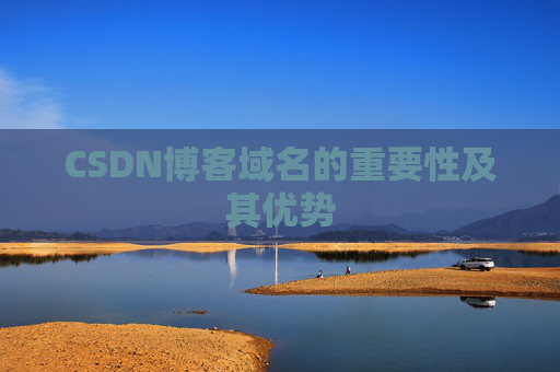 CSDN博客域名的重要性及其优势